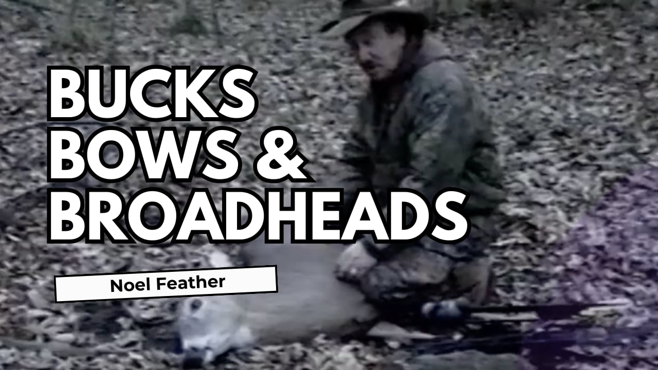 Bucks Bows and Broadheads