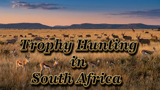 Trophy Hunting in South Africa