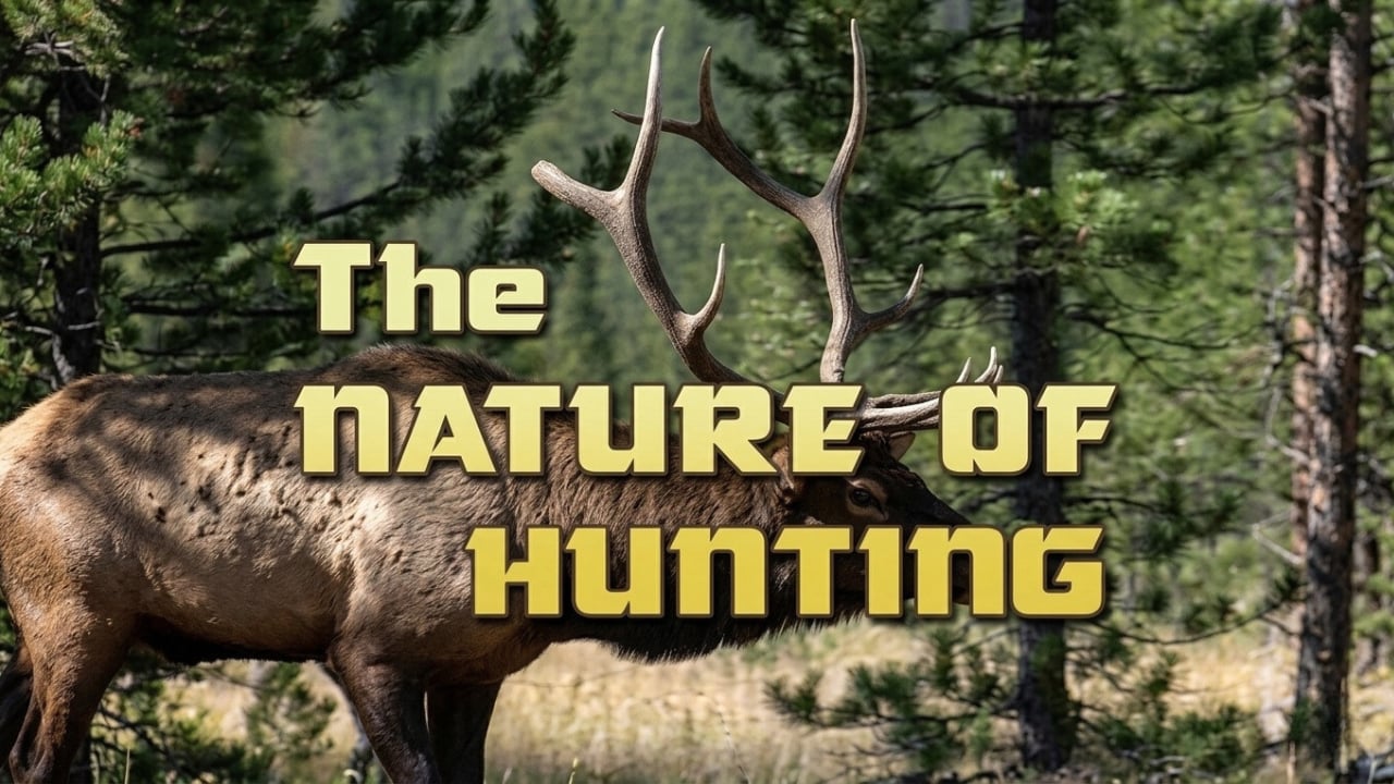 The Nature of Hunting