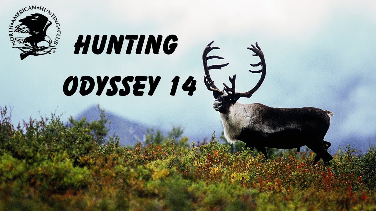 Hunting Odyssey 14