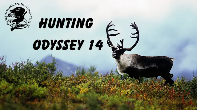 Hunting Odyssey 14