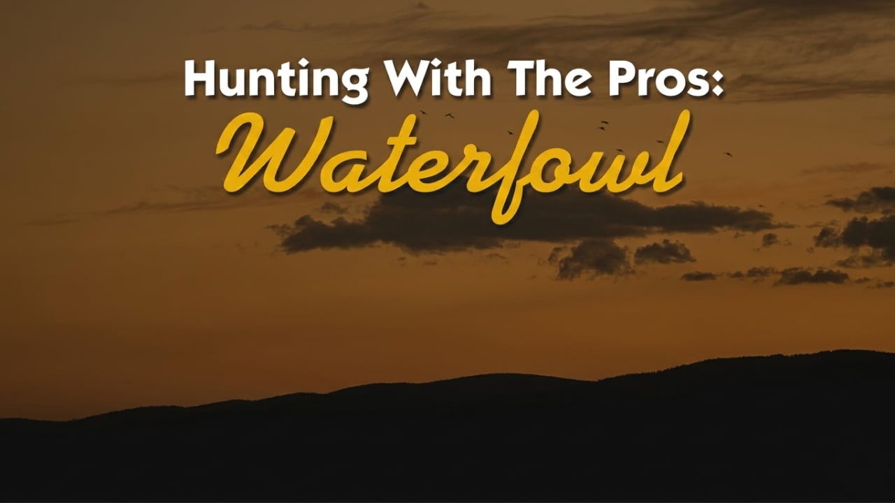 Waterfowl Hunting with the Pros
