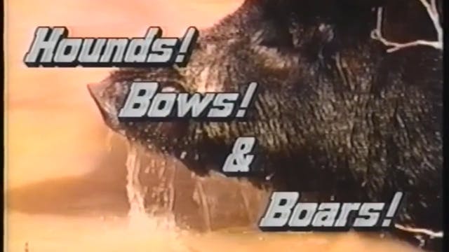 Hounds Bows & Boars