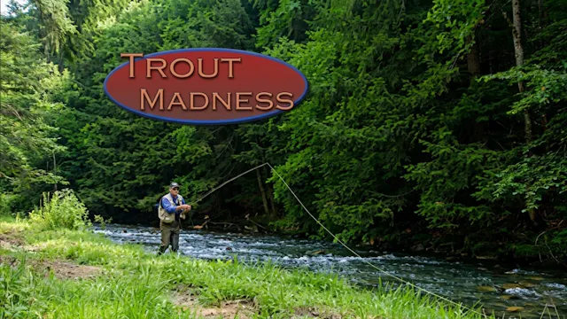 Trout Madness