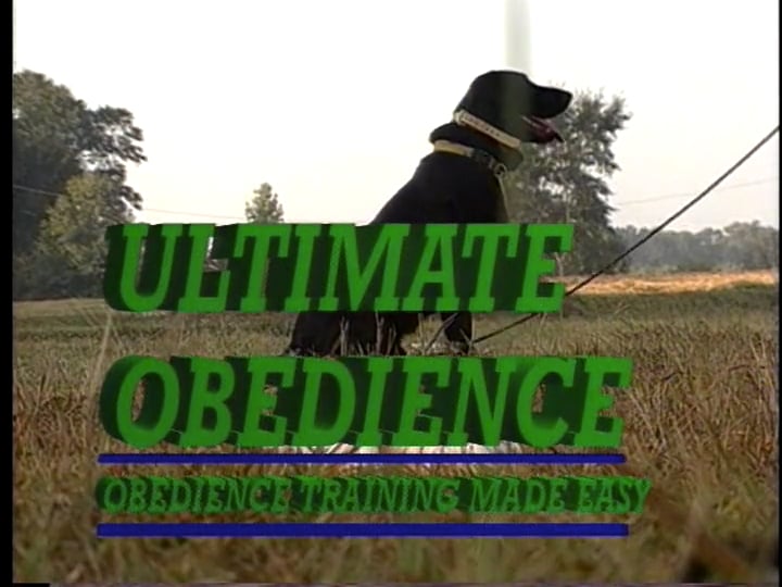 Ultimate Obedience