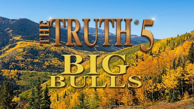 Primos The Truth 5: Big Bulls