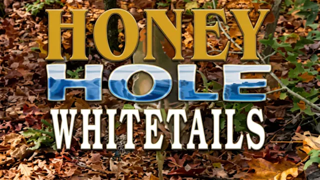 Honey Hole Whitetails