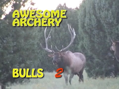 Awesome Archery Bulls 2