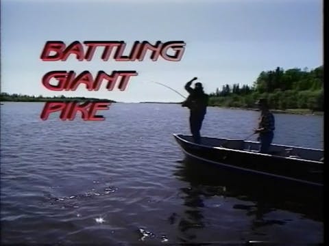 Giant Pike: The Battle