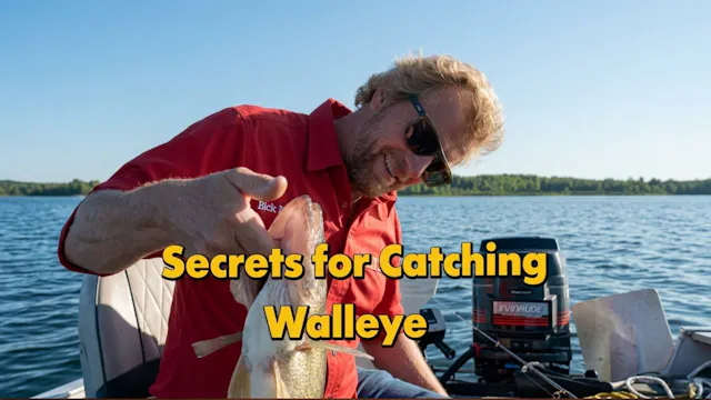 Secrets for Catching Walleyes