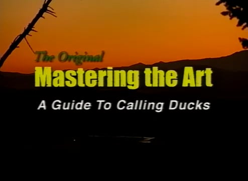 Primos: Mastering the Art of Duck Calling