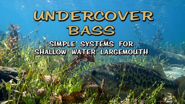 Undercover Bass