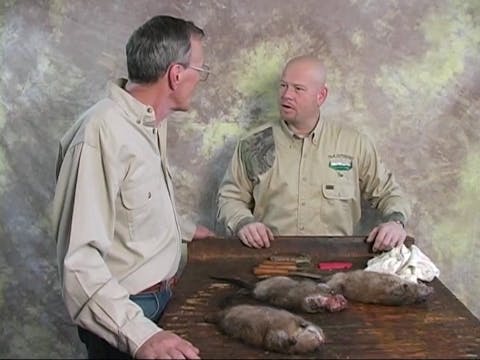 Practical Fur Handling