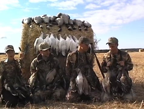 Honkers Gone Wild