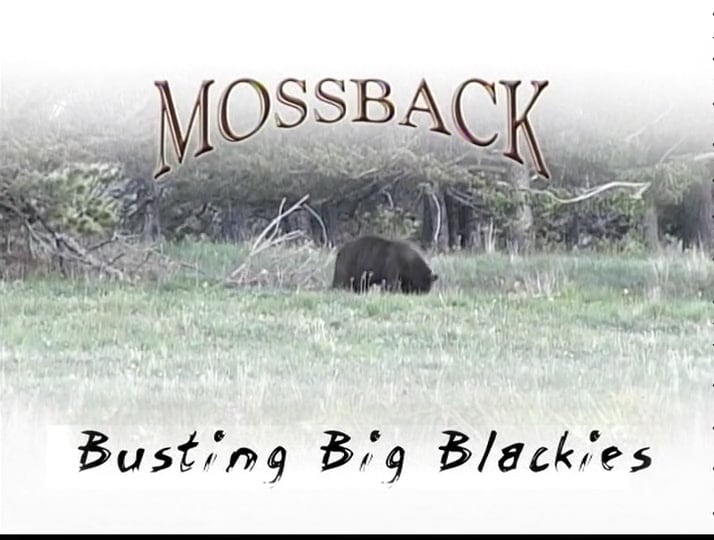 Bustin Big Blackies Vol.1