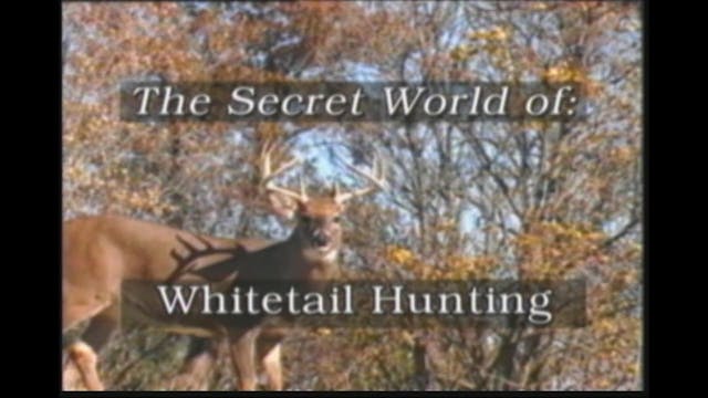 Secret World of Whitetail