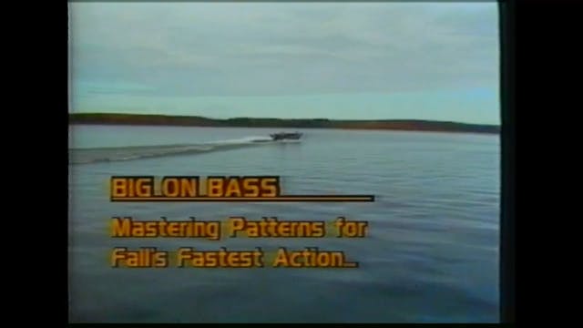 Big on Bass