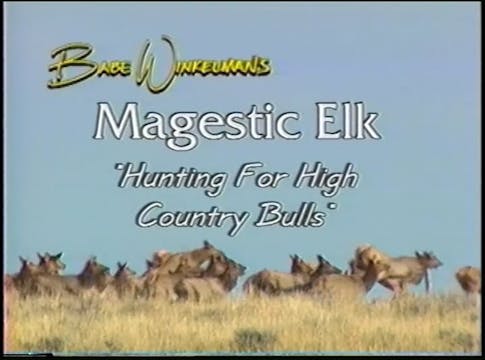 Babe Winkelman: Majestic Elk