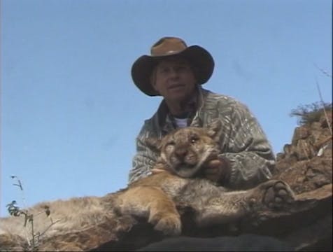 El Gato 1: Hunting the Big Cat