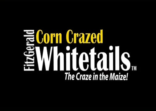 Corn Crazed Whitetails