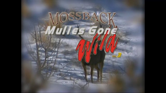 Mulies Gone Wild 3