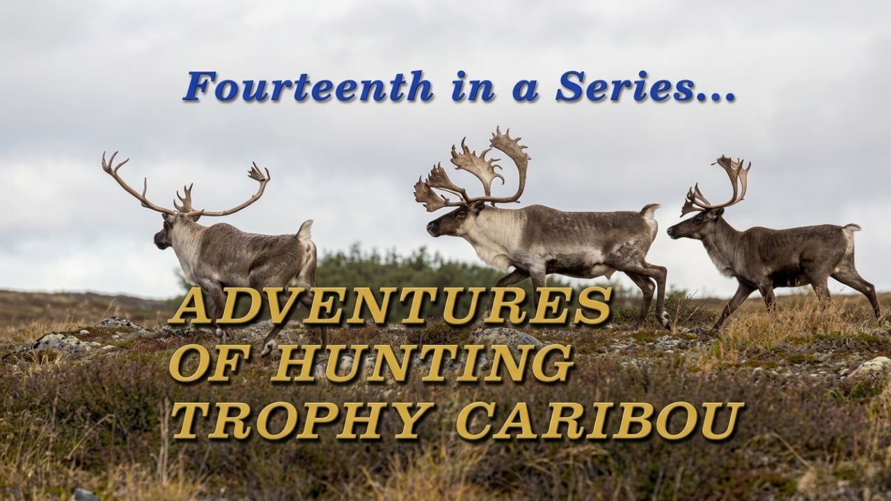 Adventures of Hunting Trophy Caribou