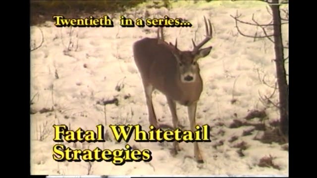 Fatal Whitetail Strategies