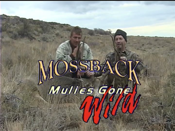Mulies Gone Wild 1