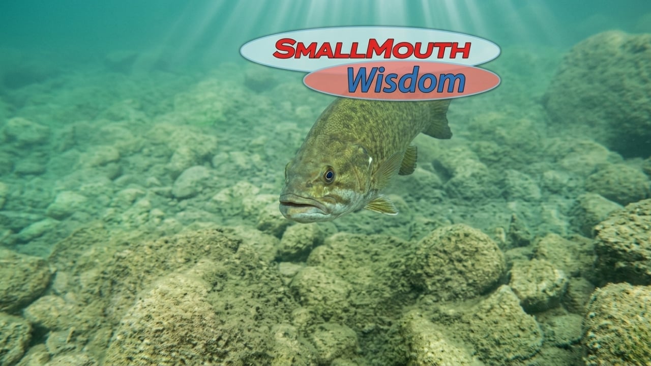 Small Mouth Wisdom