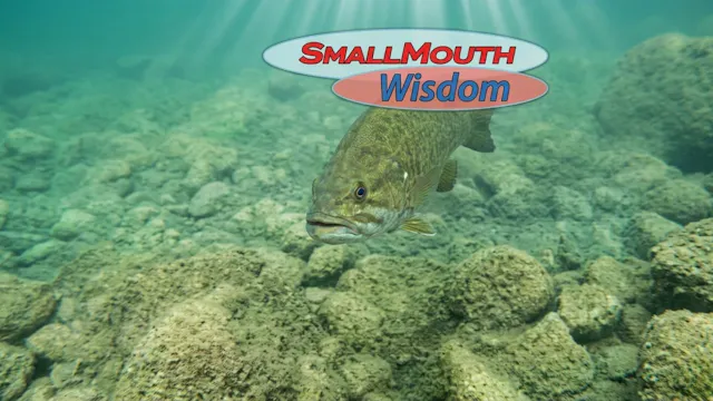 Small Mouth Wisdom