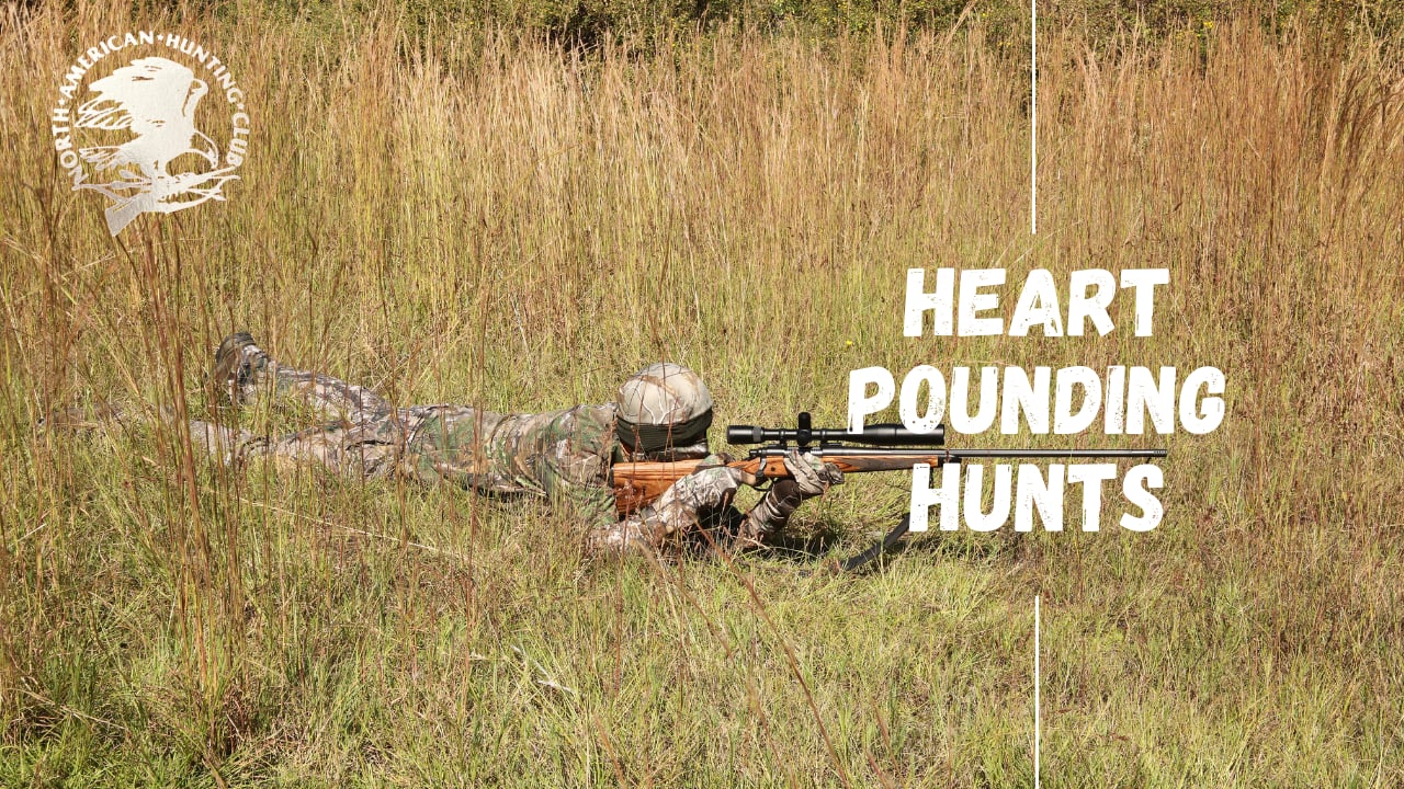 Heart Pounding Hunts