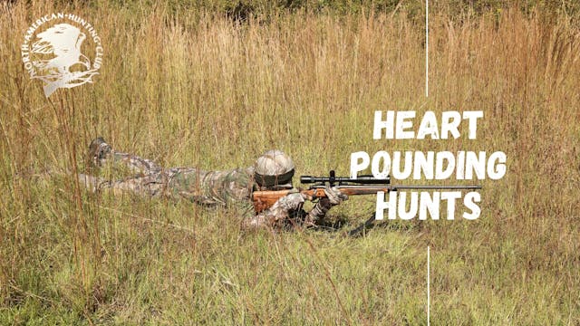 Heart Pounding Hunts
