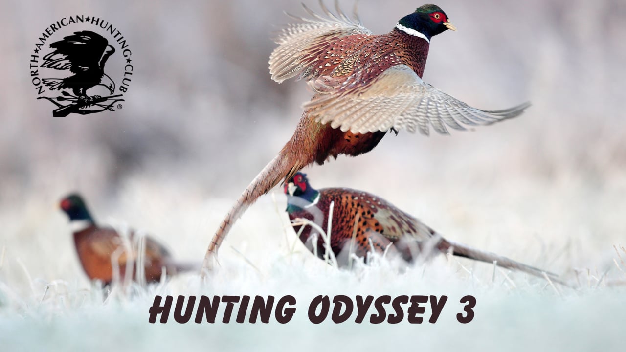 Hunting Odyssey 3