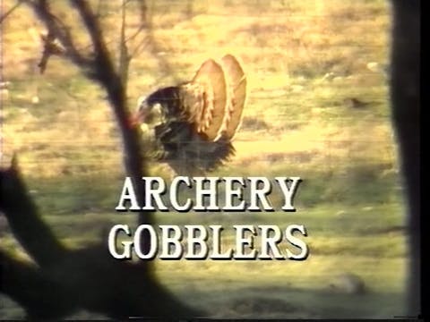 Archery Gobblers
