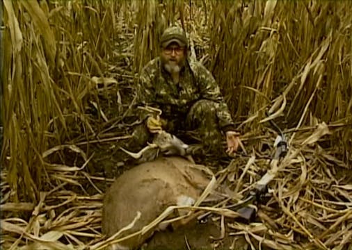 Corn Crazed Whitetails