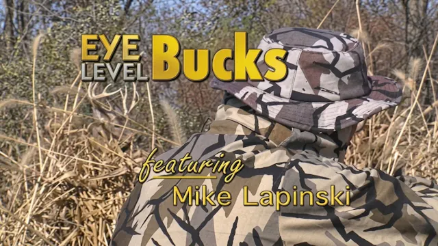 Eye Level Bucks