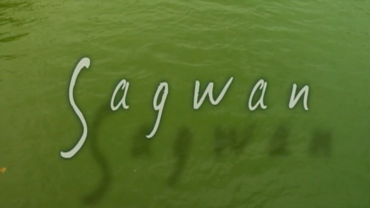 Sagwan