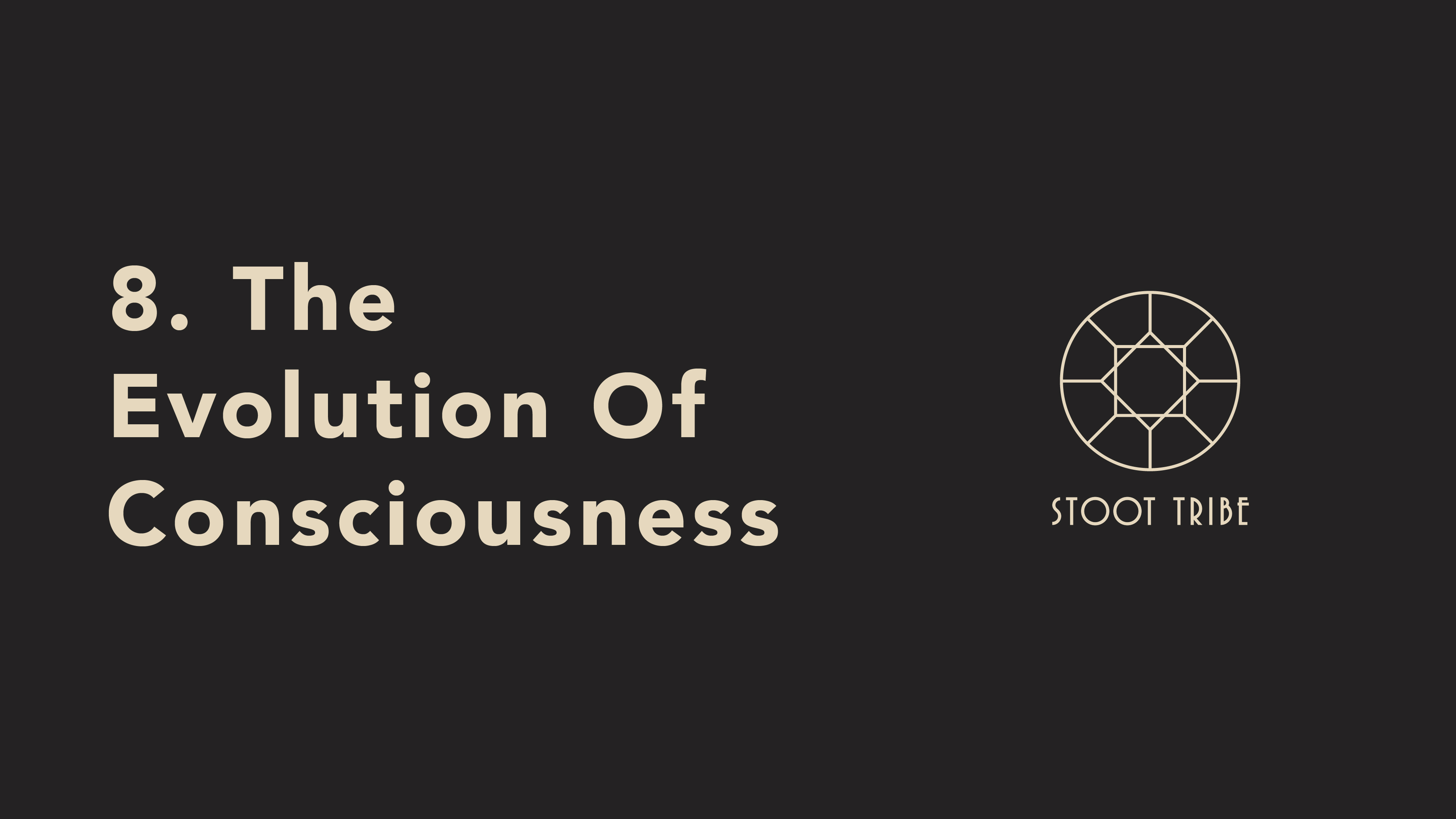 8. The Evolution Of Consciousness