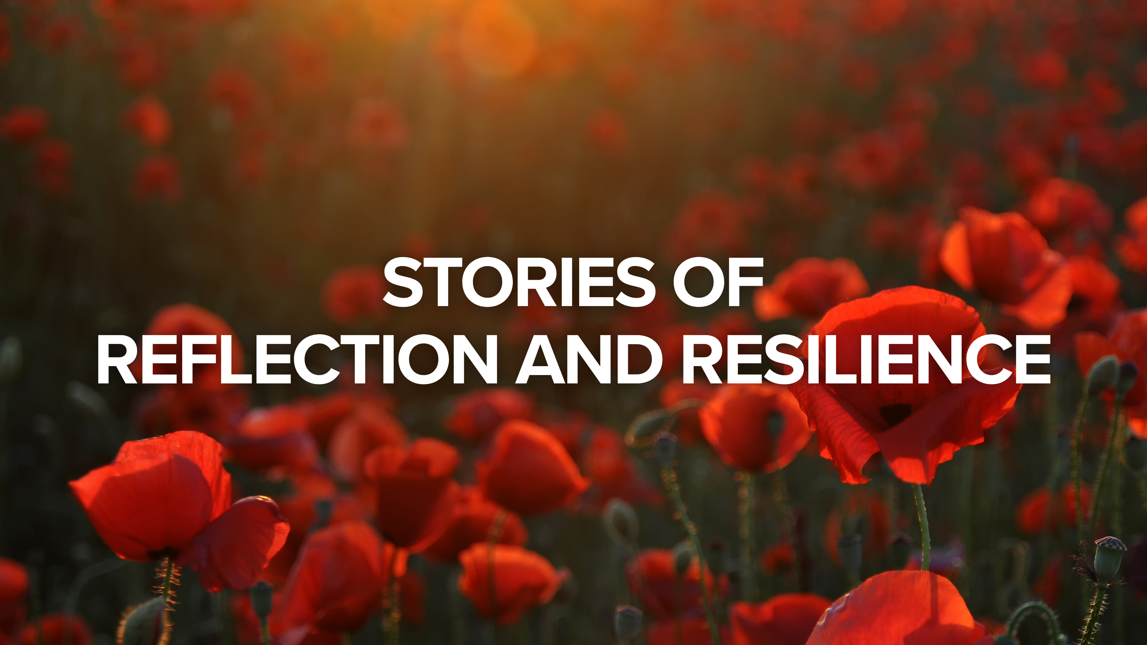 Stories of Reflection and Resilience