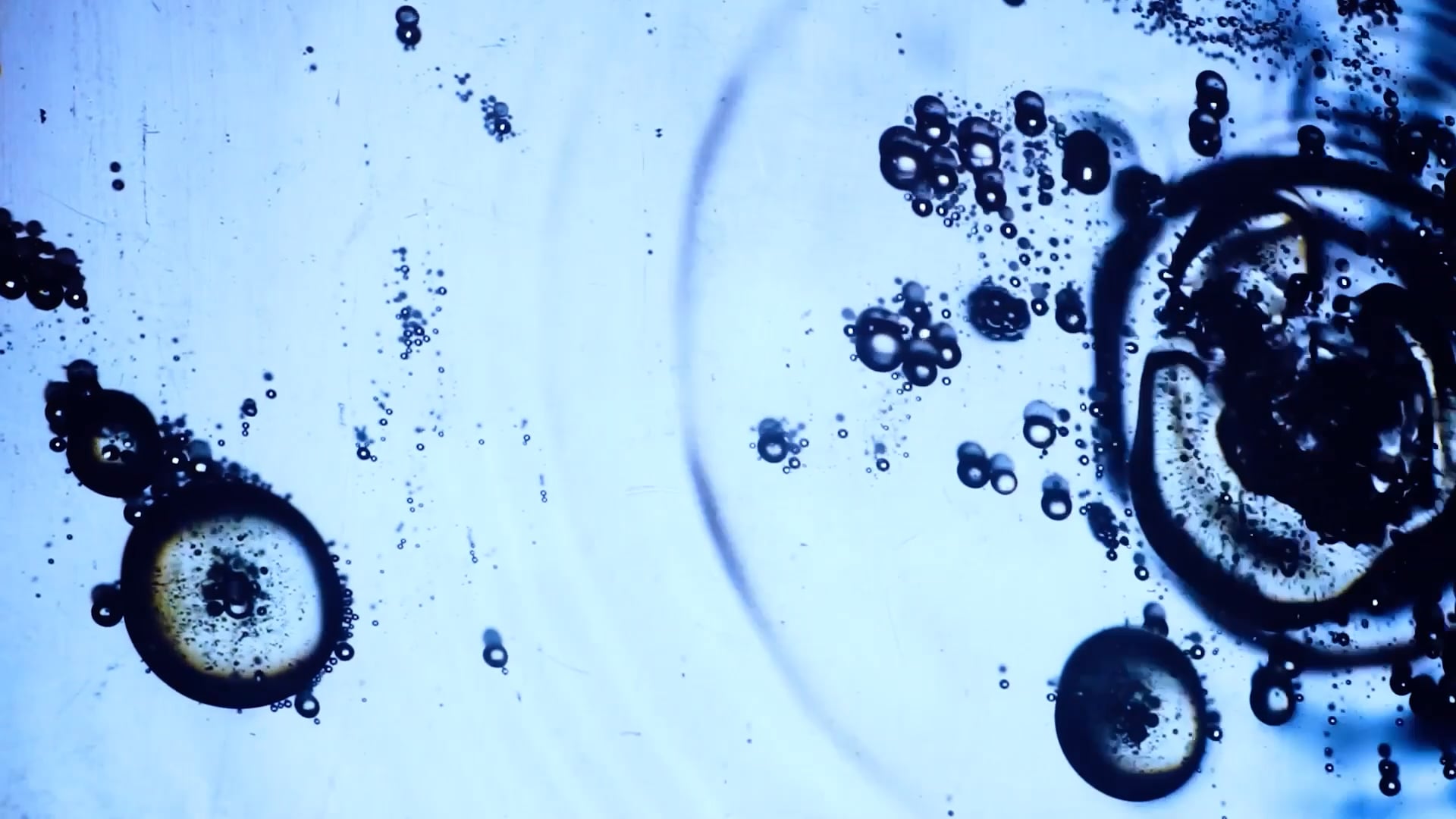 Voices of a Siren (Official Trailer)