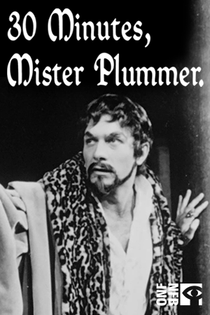 30 Minutes, Mister Plummer