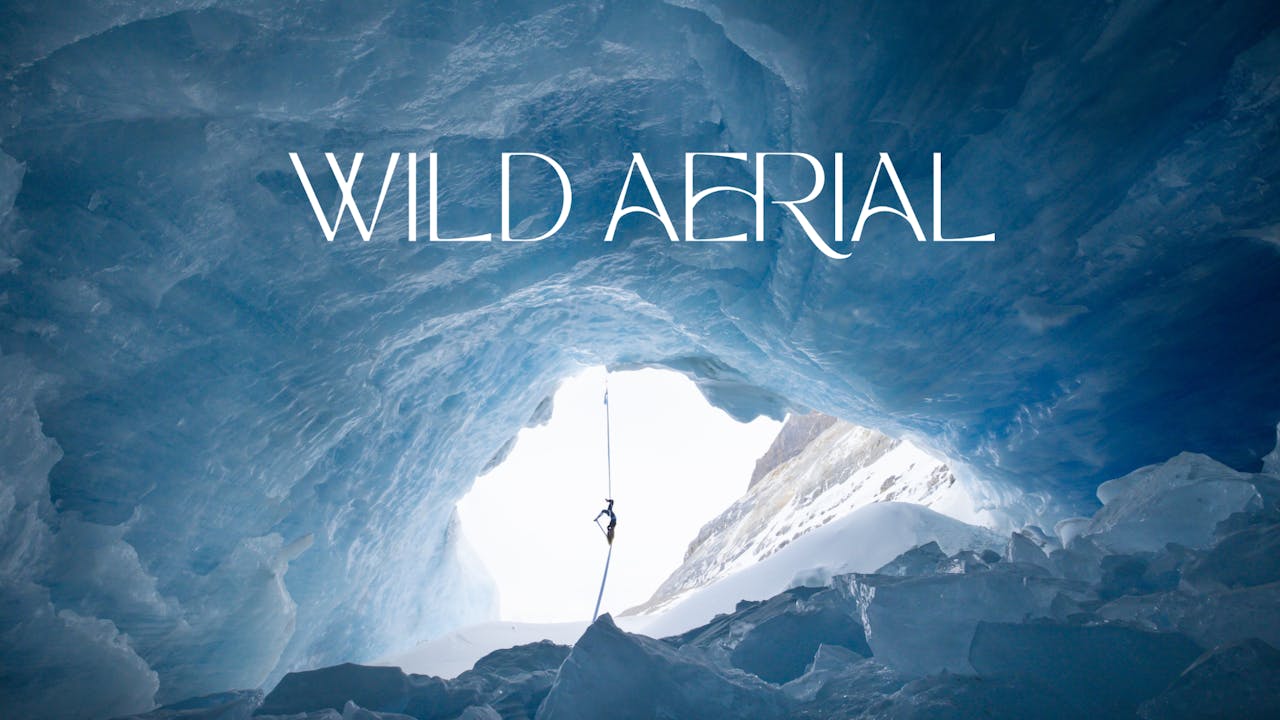 Wild Aerial