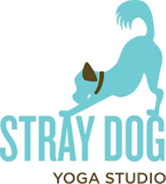 Stray Dog Yoga Online