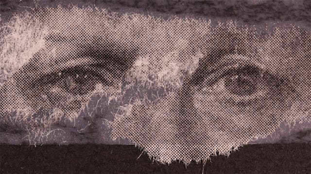 Stephen Mallinder: Shock to the Body