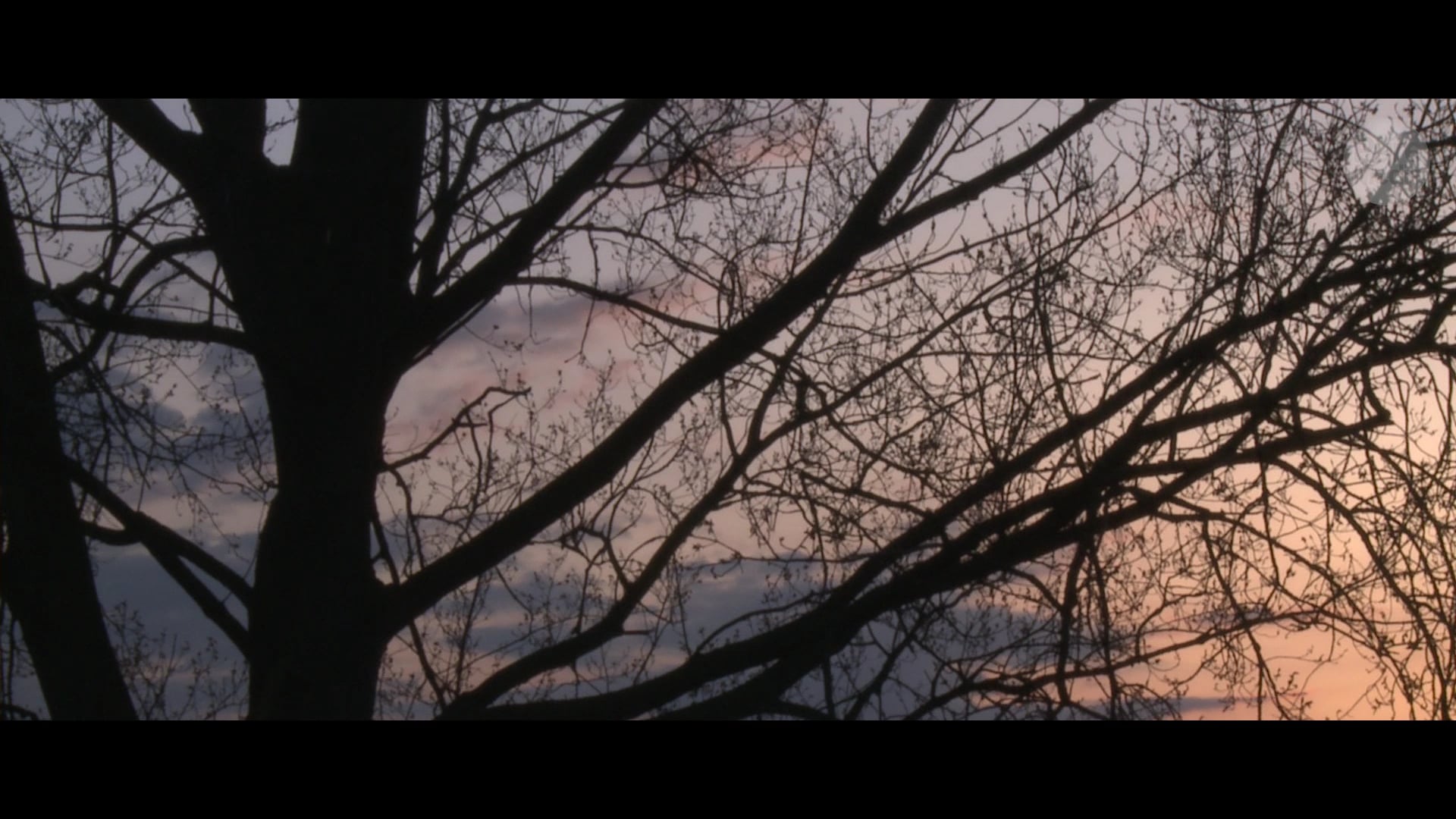 For A Friend - part 08 -  Oscars Chairs