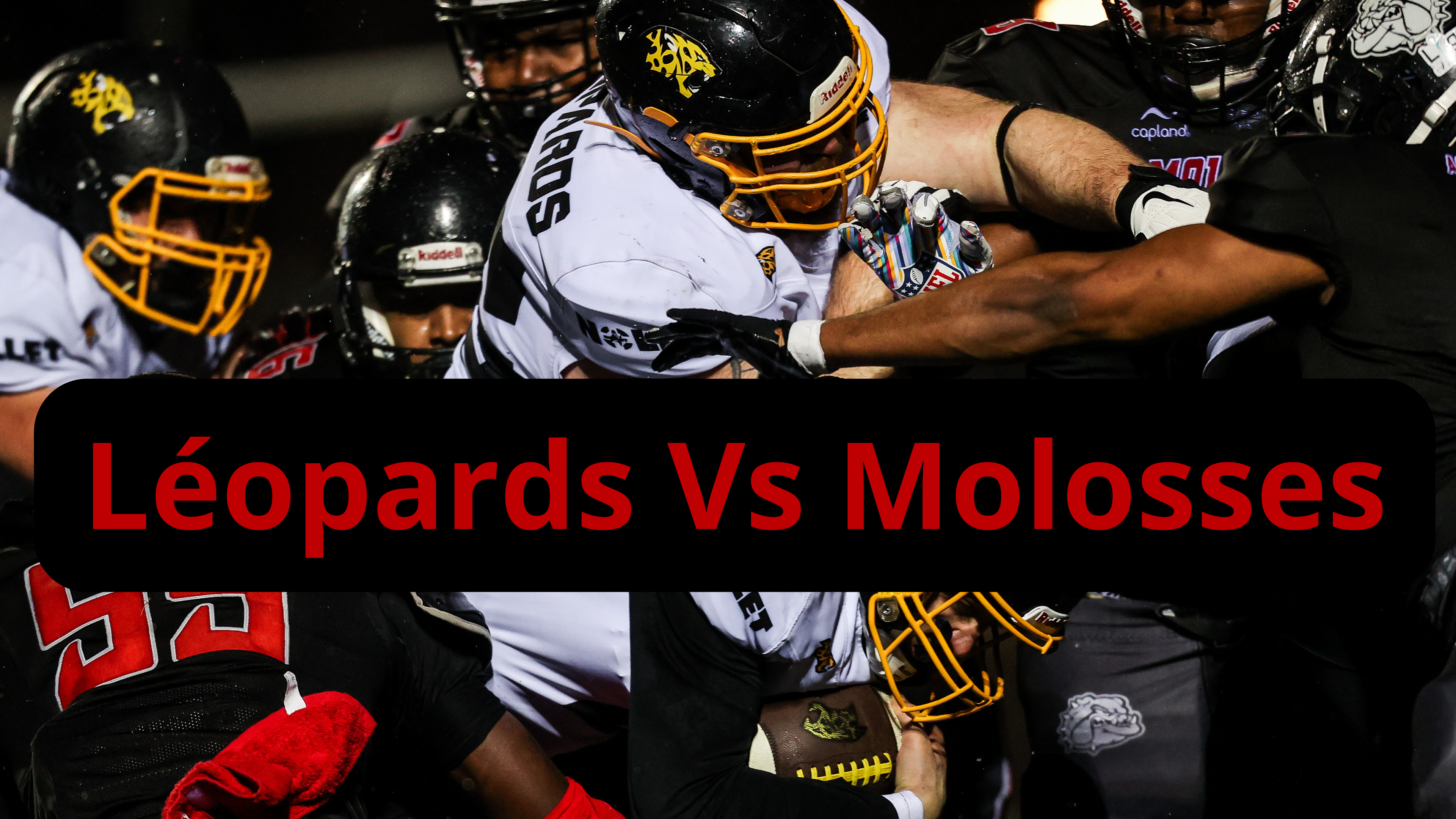 J8 - Léopards Vs Molosses