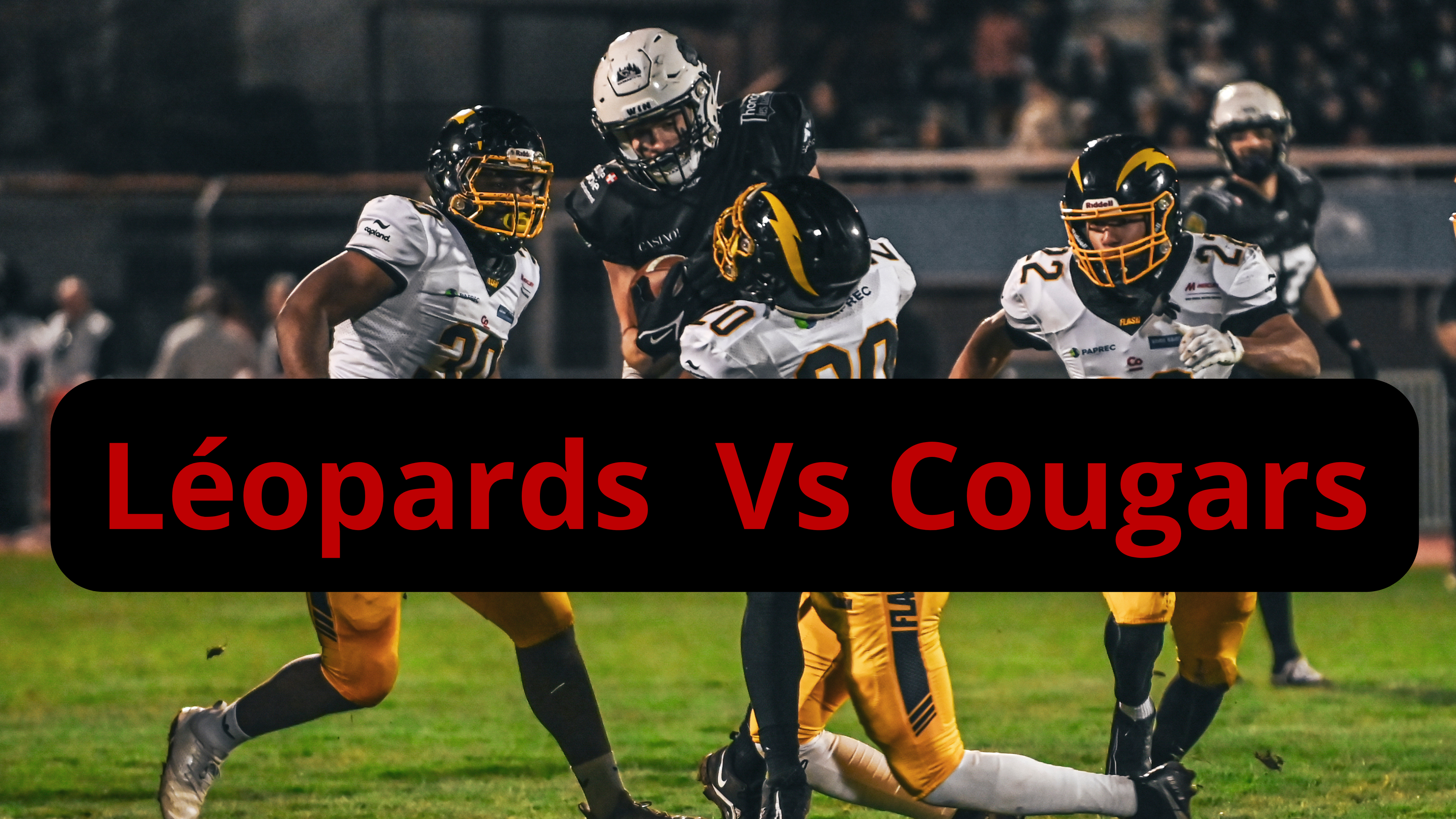J7 - Léopards Vs Cougars - partie 1