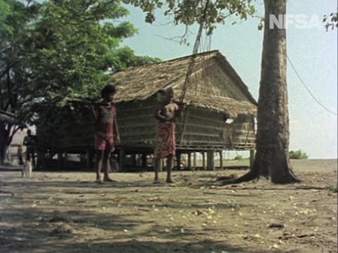Solomon Islands: Volo Momoru - The Tu...