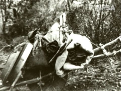 Federation: The Nation (episode 3) (N...