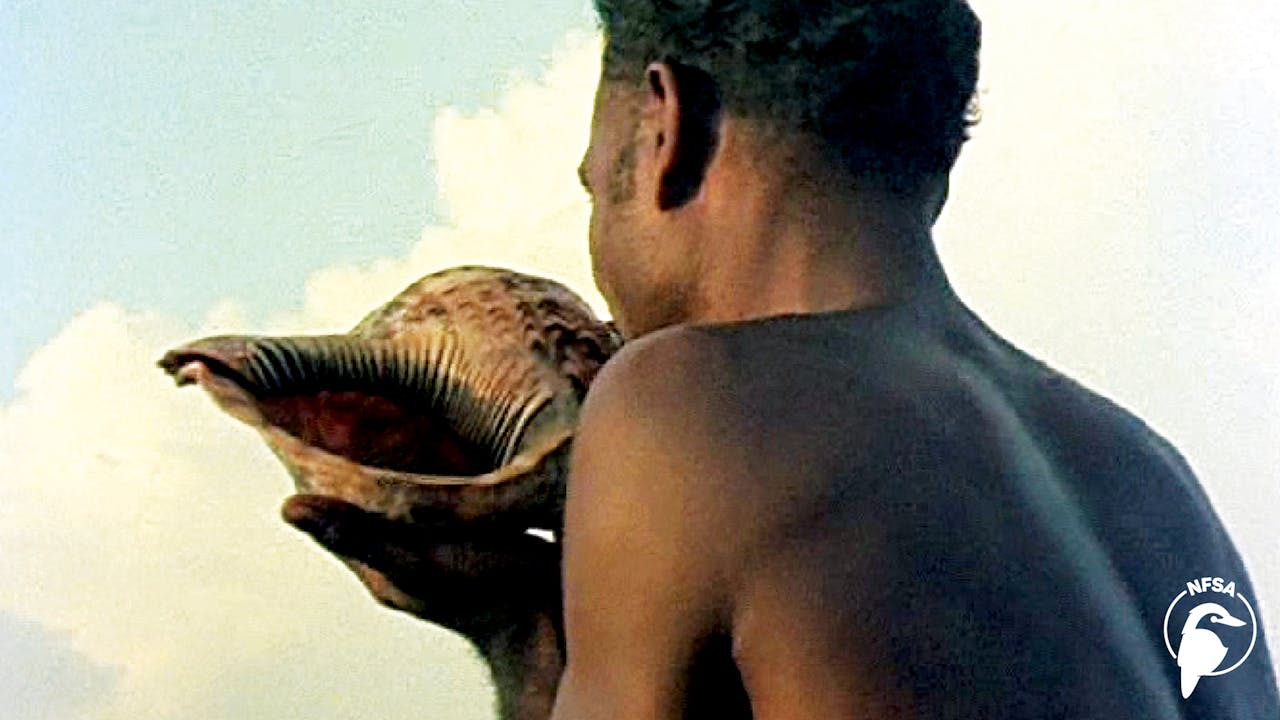 Solomon Islands: Wogasia (3-Day Rental)